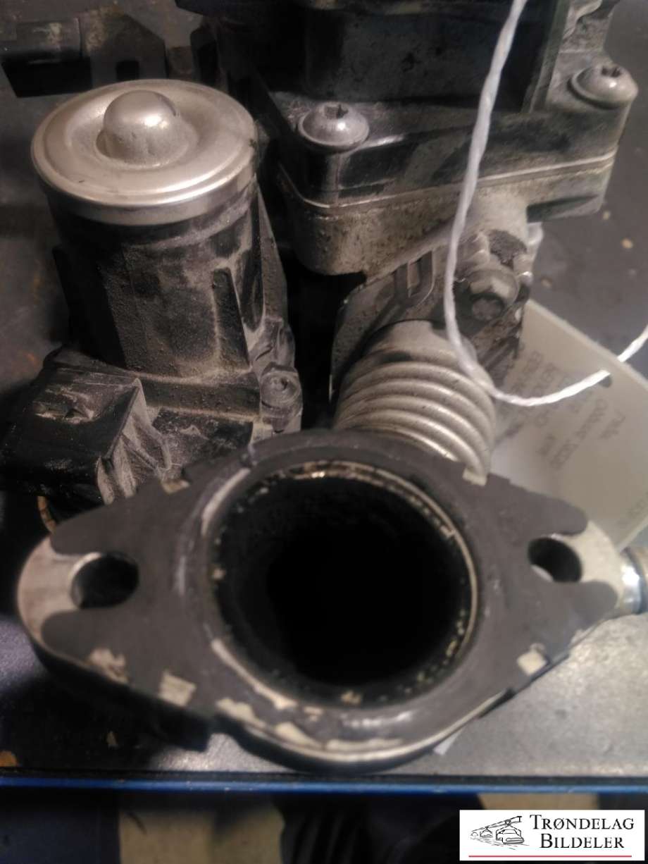 EGR-ventil til Peugeot 308 2013-2021 (Type II) (028751018|)