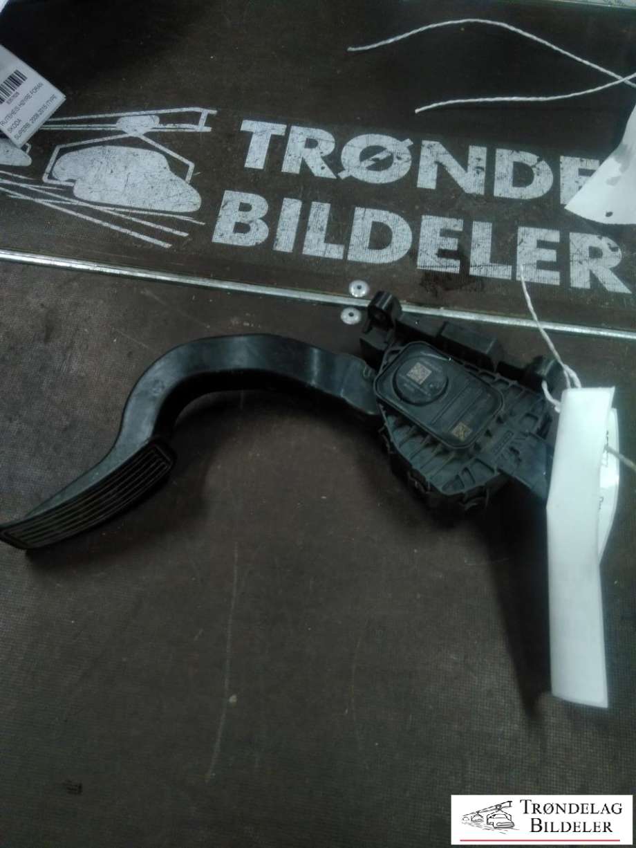 Pedal gass til Tesla Model 3, 2018-2023 (Fase 1)  (1044695-00-A)