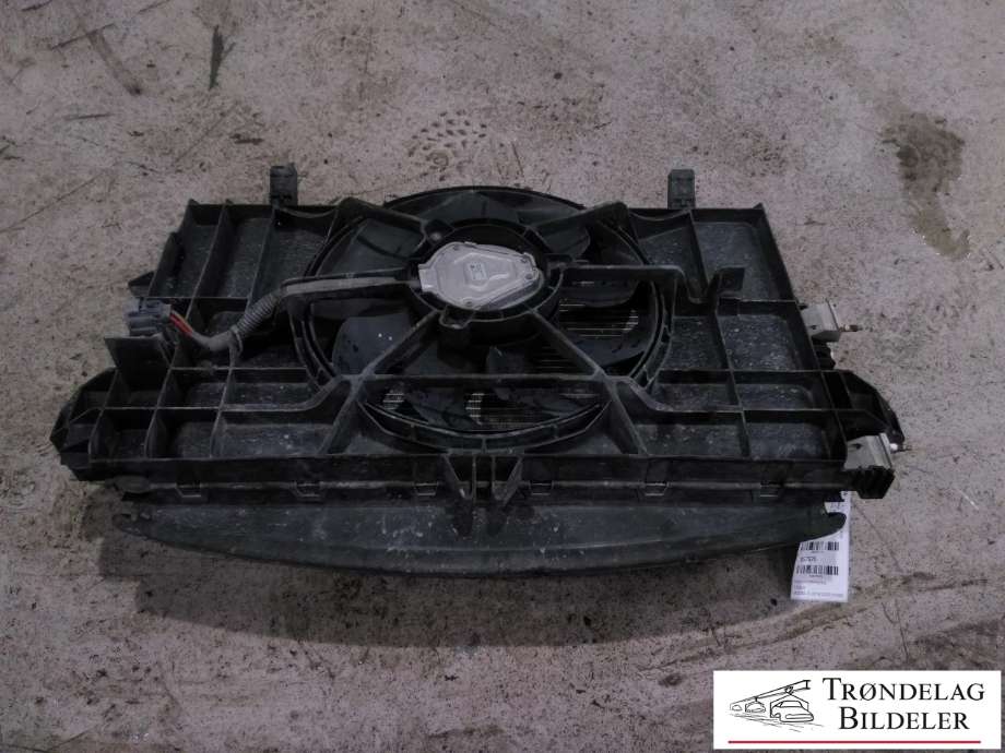 Radiatorpakke til Tesla Model 3, 2018-2023 (Fase 1)  (1494175-00-A)