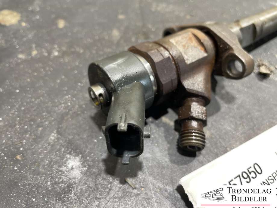 Dyse innsprøyting diesel til Ford Focus 2004-2007 (Type II, Fase 1) (5M5Q-9F593-AA|)