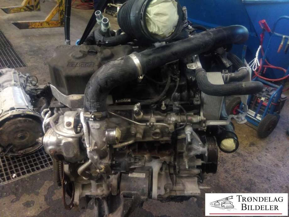 Motor bensin til Ford Ranger / Ranger Raptor, 2015-2022  (2716990)