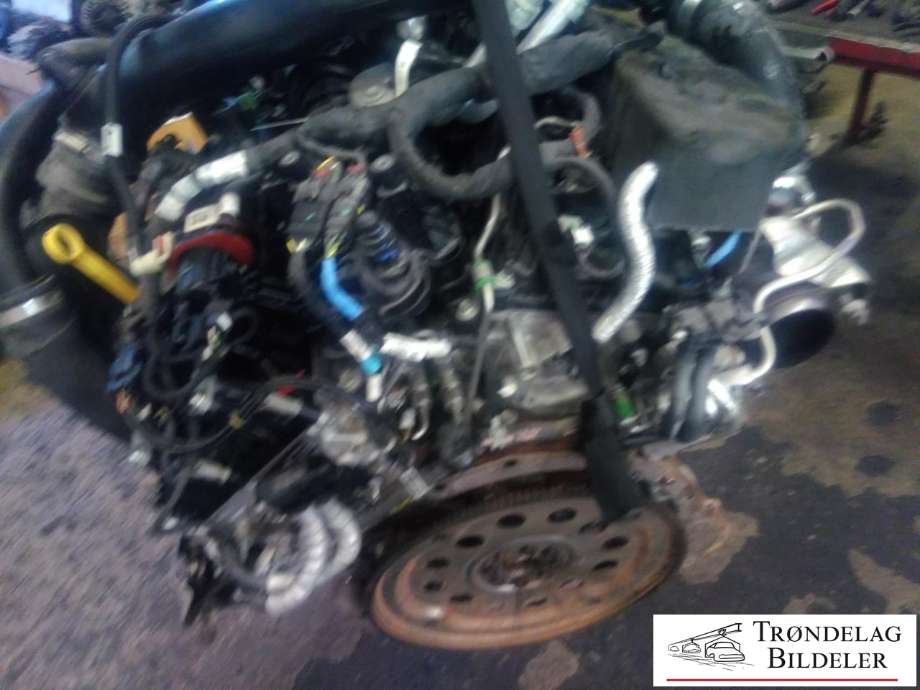 Motor bensin til Ford Ranger / Ranger Raptor 2015-2022  (2716990|N2DE-6006-AB|)