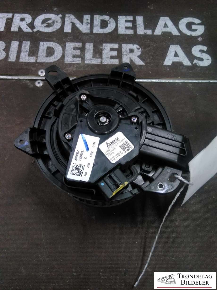 Varmeapparat motor til Tesla Model 3, 2018-2023 (Fase 1) (1539475-00-A)