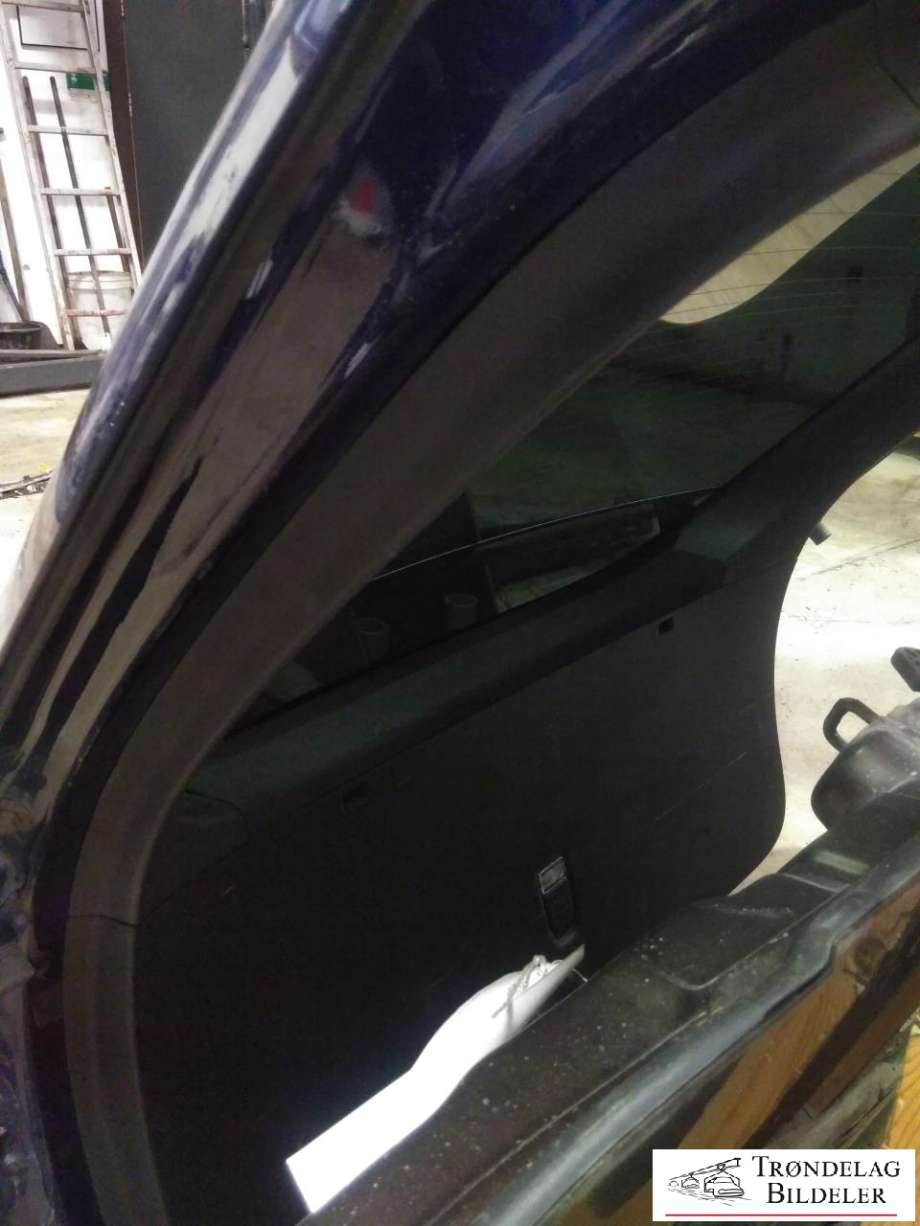 Bakluke til Tesla Model X 2016-->> (1900710-E0-B|)