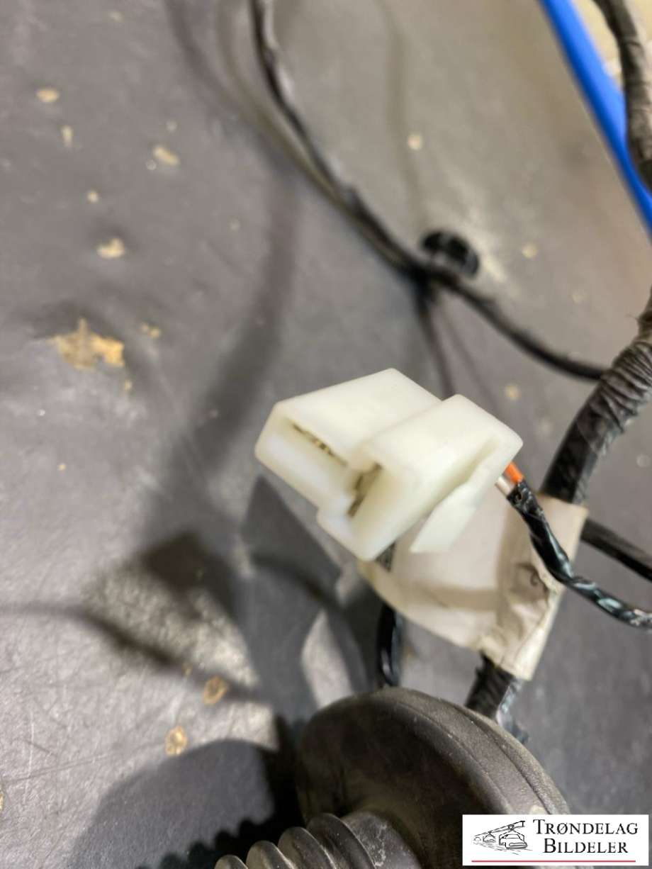 Ledningsnett til Maxus Euniq 5 2019-2023 (C00161384|)