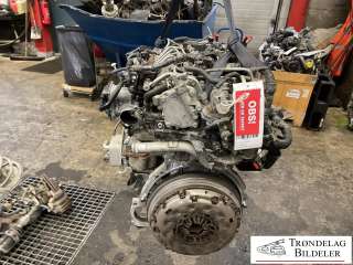 Motor diesel til Mitsubishi Outlander,   (|4N14|1000C810|1000C809)