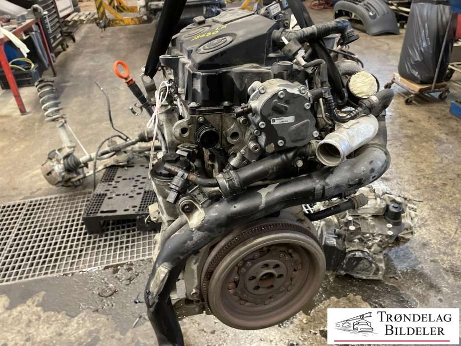 Motor diesel til VW Caddy 2004-2010 (Type III, Fase 1)  (BLS|03G 100 037 H|03G 100 098 HX)
