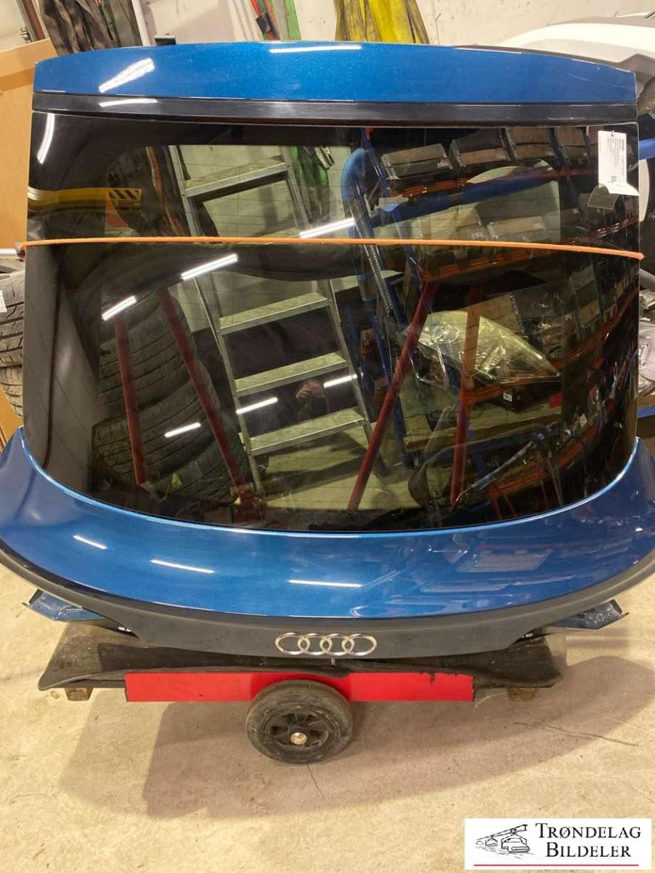 Bakluke til Audi e-tron, 2018-->>  (4K4 827 025 C)