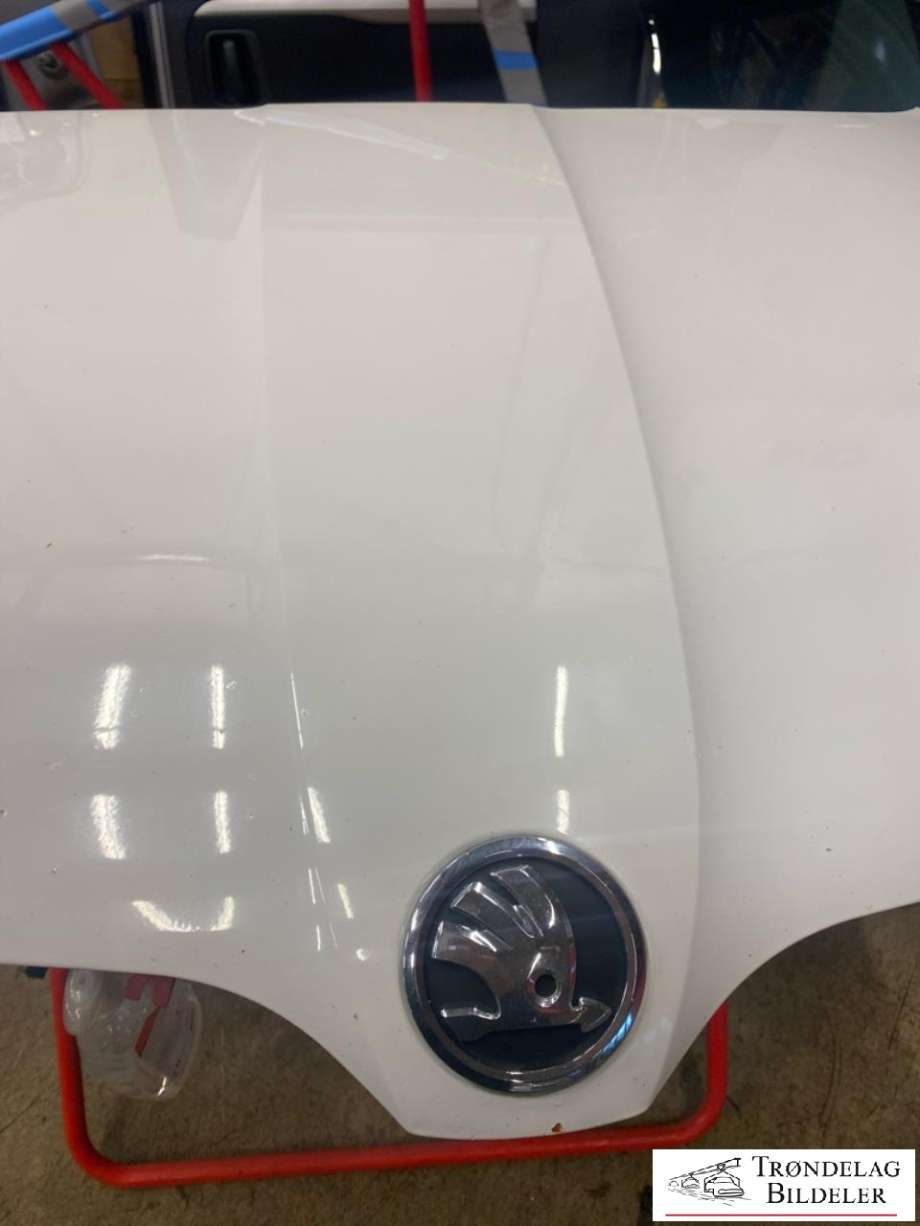 Panser til Škoda Octavia 2013-2016 (Type III, Fase 1)  (1Z0 823 031 B|)