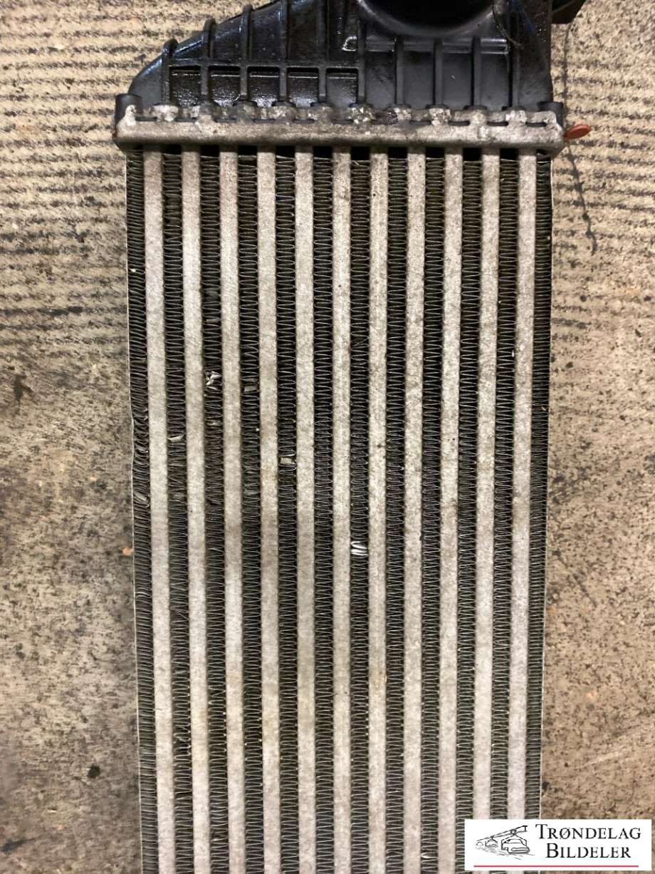 Intercooler til Opel Movano 2010-->> (1697246080|93168279|)