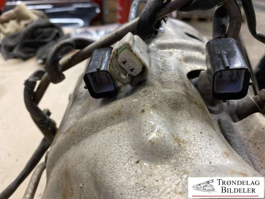 Partikkelfilter til Isuzu D-Max 2021-->> (Type III)  (8975359390|)