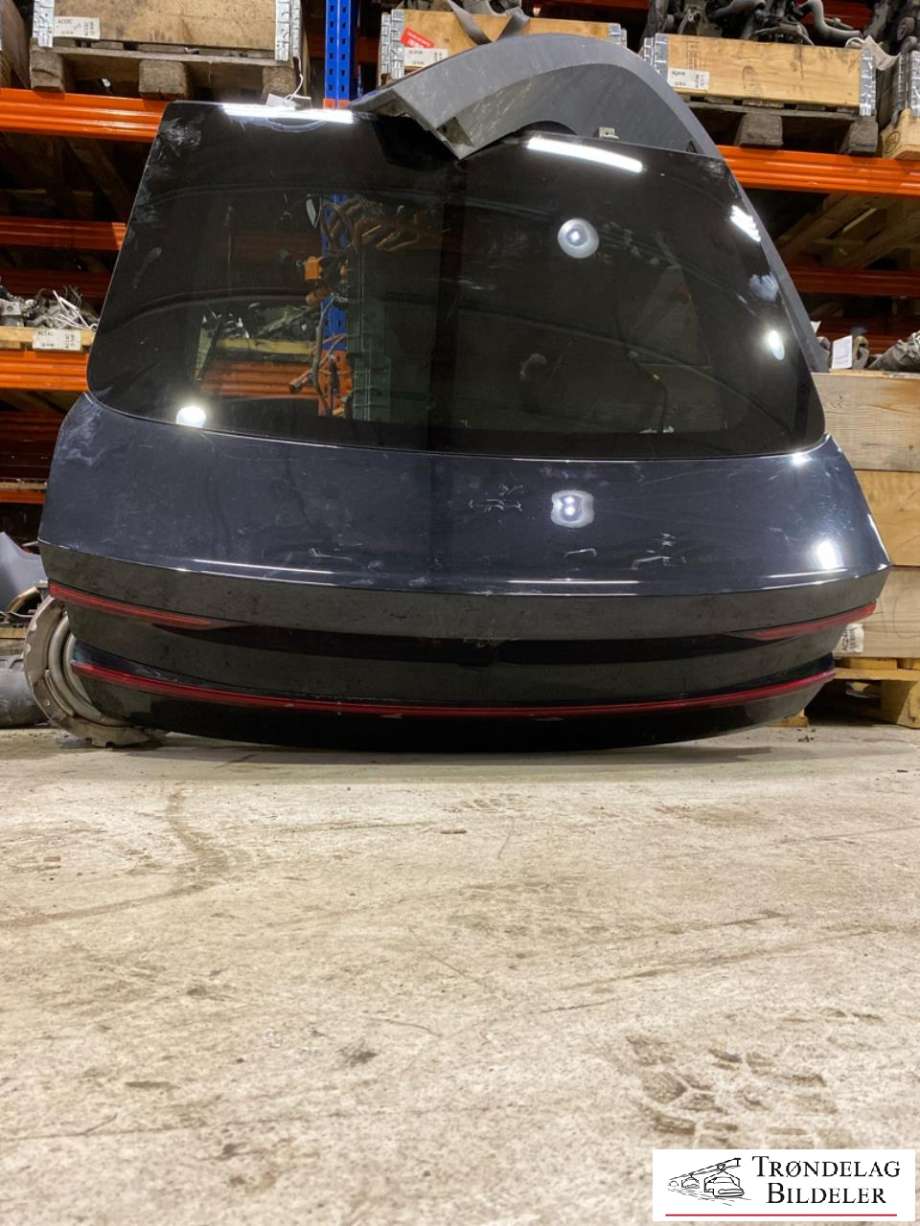 Bakluke til Polestar 2 2020-->>  (31689720|)