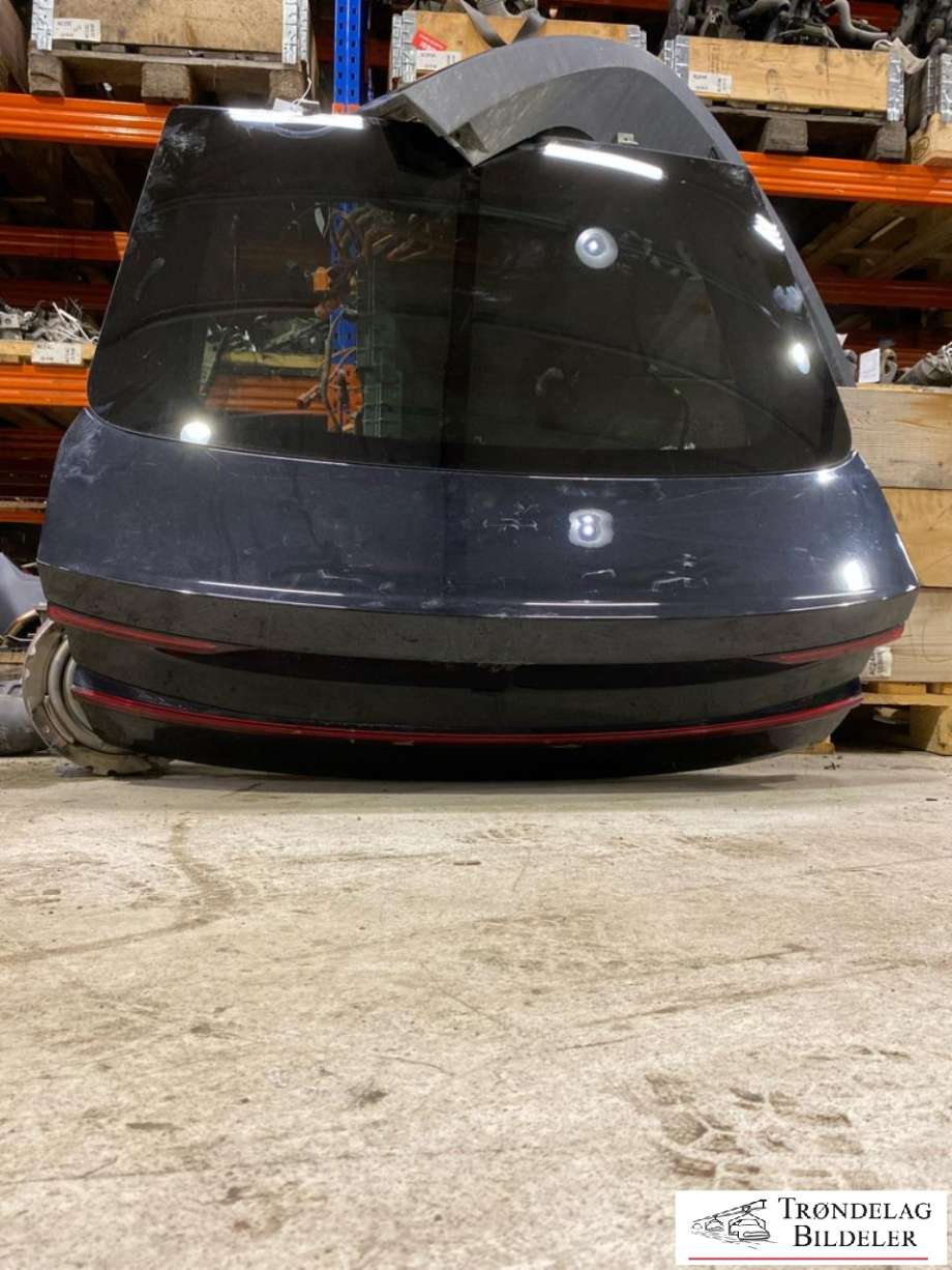 Bakluke til Polestar 2 2020-->>  (31689720|)