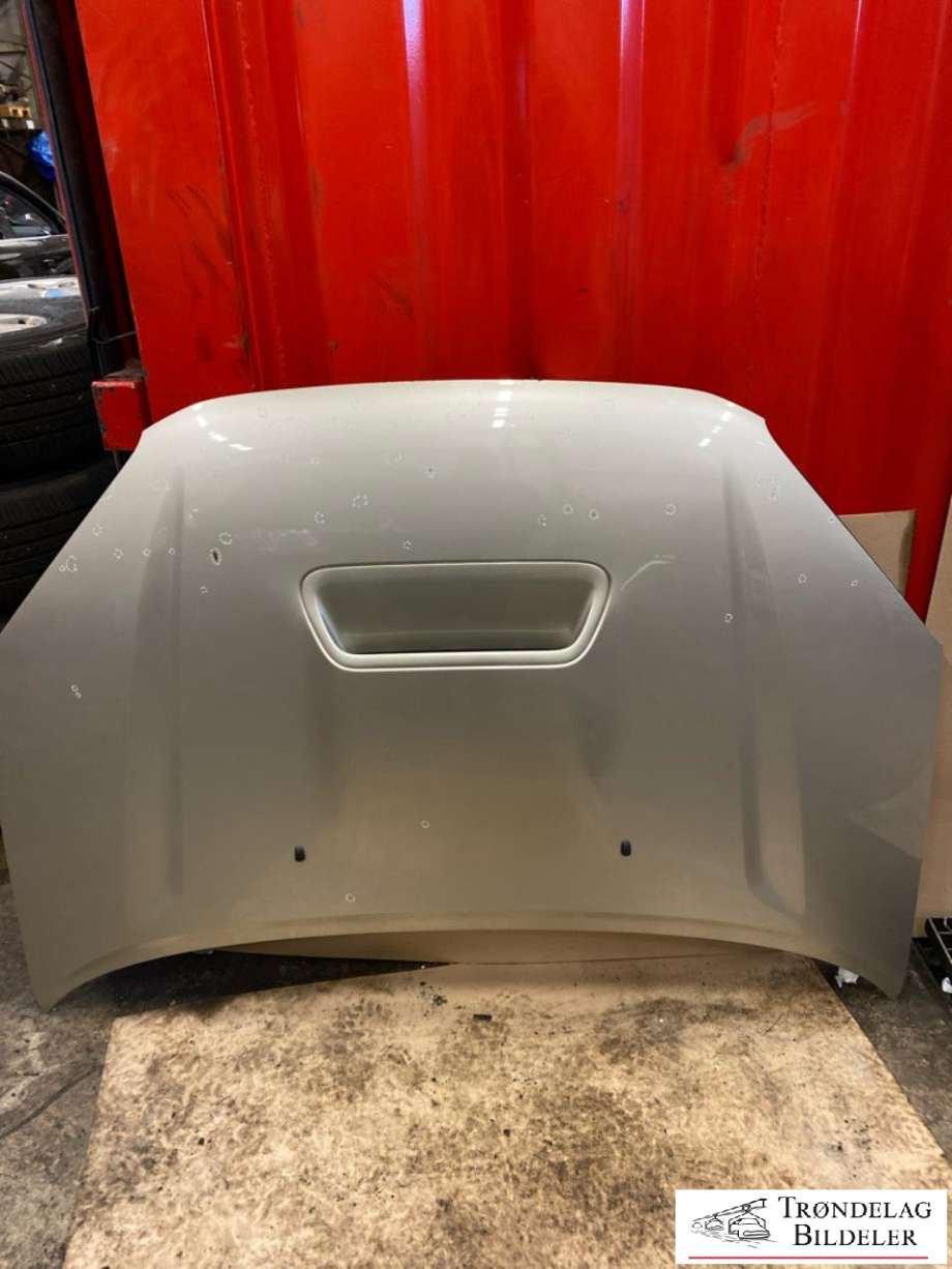 Panser til Toyota RAV4, 2000-2006 (Type II) (5330142050)