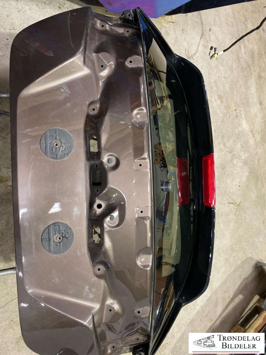 Bakluke til Nissan Leaf, 2018-->> (Type II)  (K0100-5SHMB)
