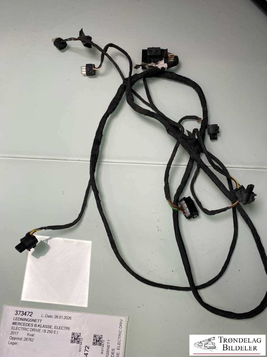 Ledningsnett til Mercedes B-Klasse, electric drive, 2014-2018 (W242) (W242) (A 242 540 87 05)