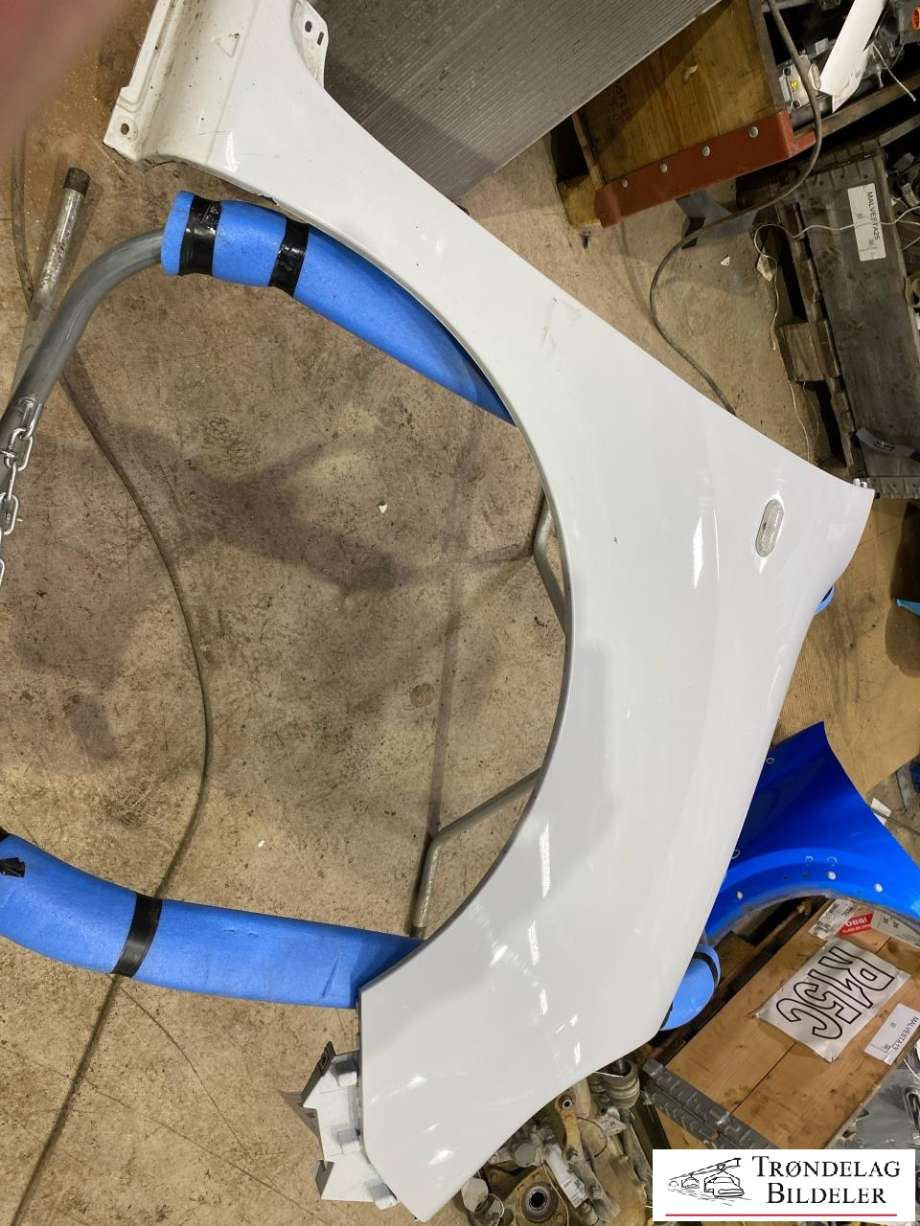 Skjerm høyre foran til Renault Kangoo, 2008-2021 (Type II)  (631002210R)