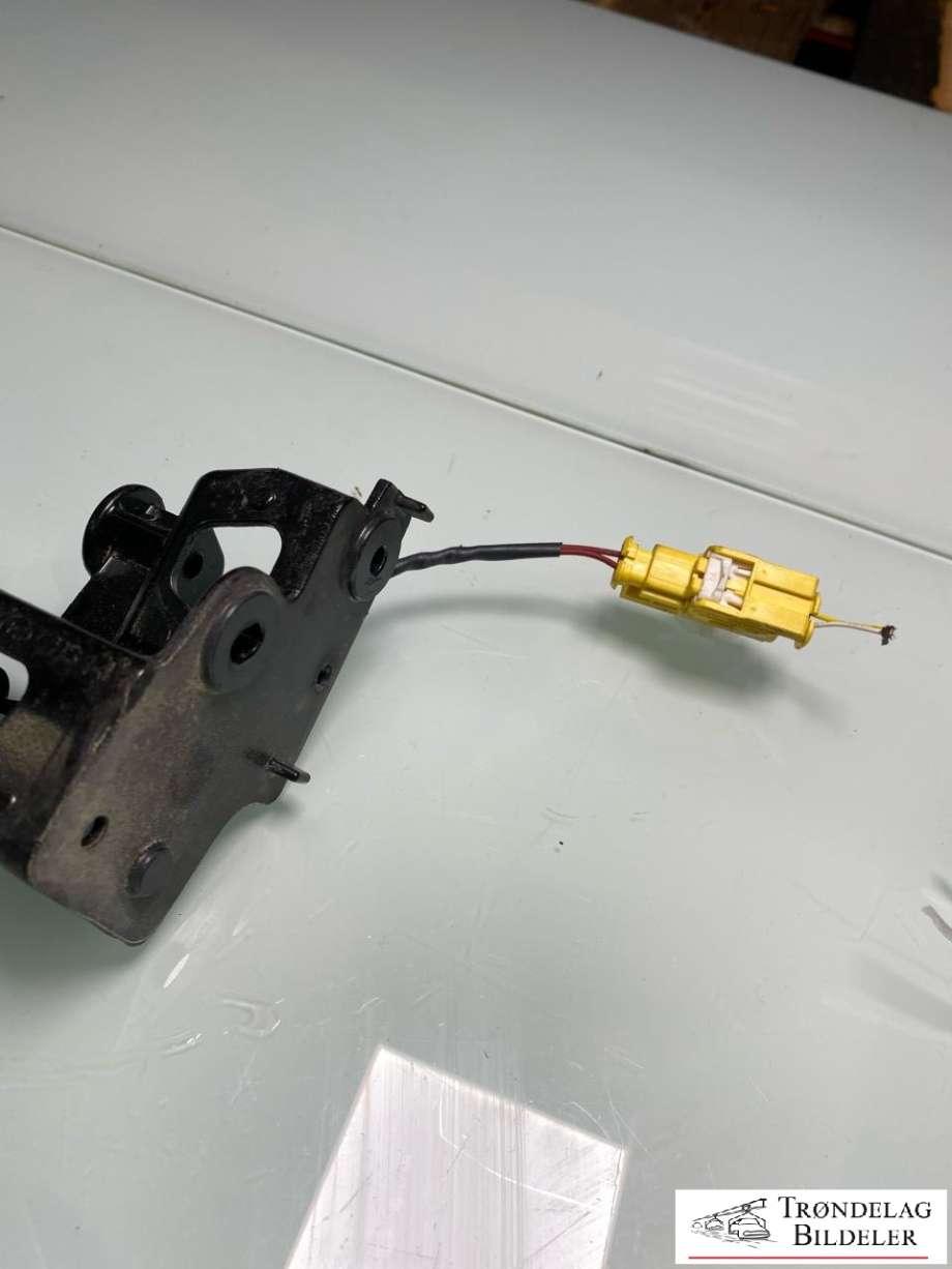 Airbag diverse til Tesla Model Y 2024-->> (Type II)  (3857505E1A|)