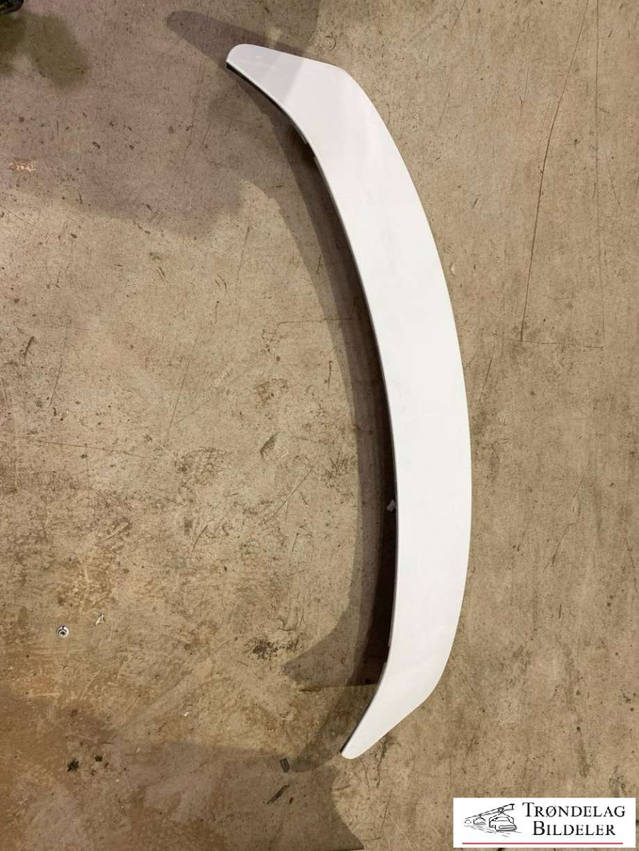 Spoiler bakluke til Hyundai Ioniq Electric, 2016-2019 (Fase 1)  (87210-G2000)