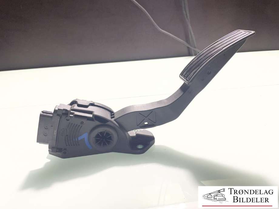 Pedal gass til Suzuki SX4 S-CROSS 2013-->> (Type II)  (4940068L51|)