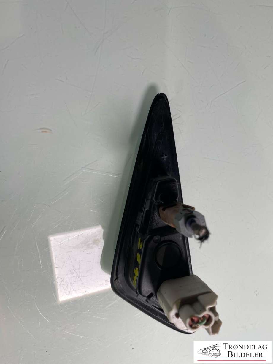 Kamera til Tesla Model 3 2018-2023 (Fase 1)  (1495864-20-C|)