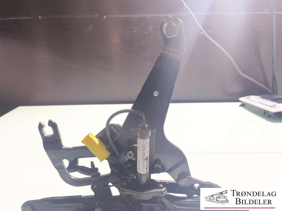 Panserhengsler til BMW X5 2013-2018 (F15) (F15) (41 00 7 381 781|)