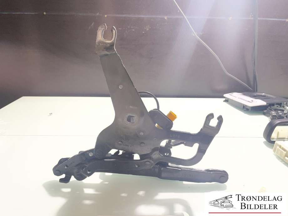 Panserhengsler til BMW X5 2013-2018 (F15) (F15) (41 00 7 381 781|)