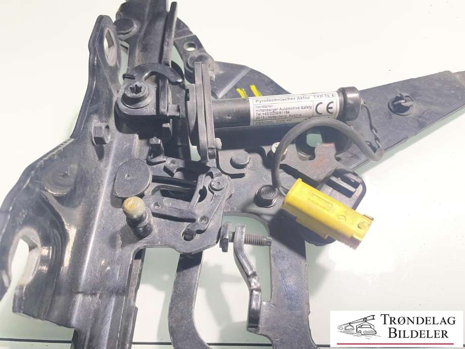 Panserhengsler til BMW X5 2013-2018 (F15) (F15) (41 00 7 381 782|)