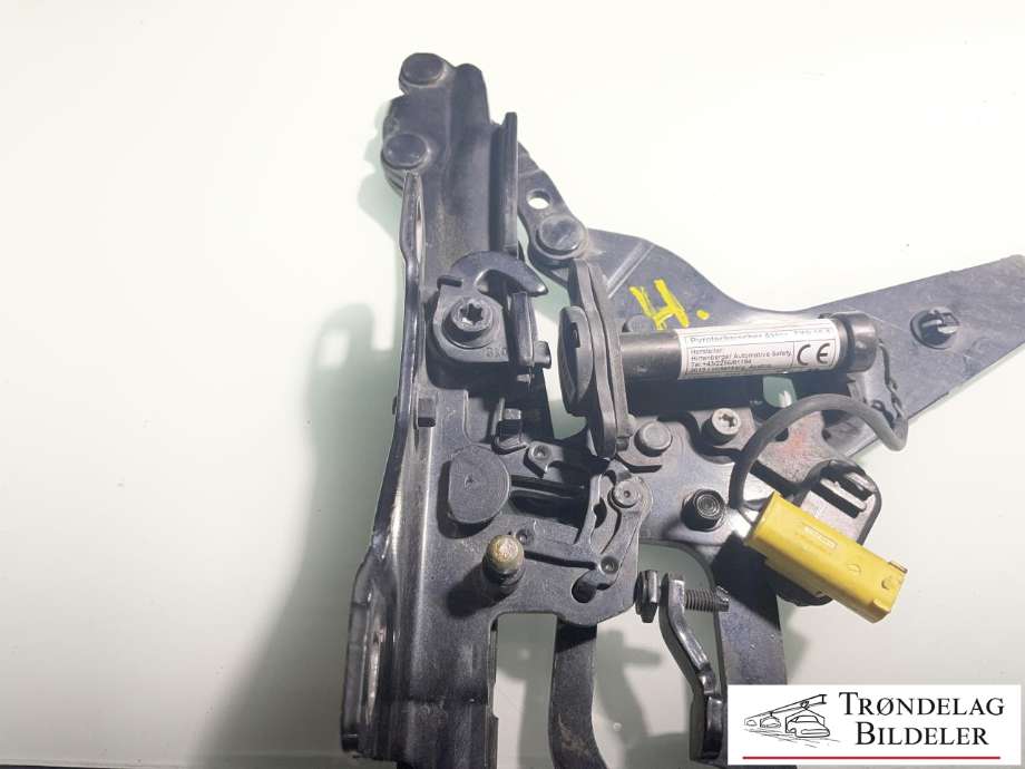 Panserhengsler til BMW X5 2013-2018 (F15) (F15) (41 00 7 381 782|)
