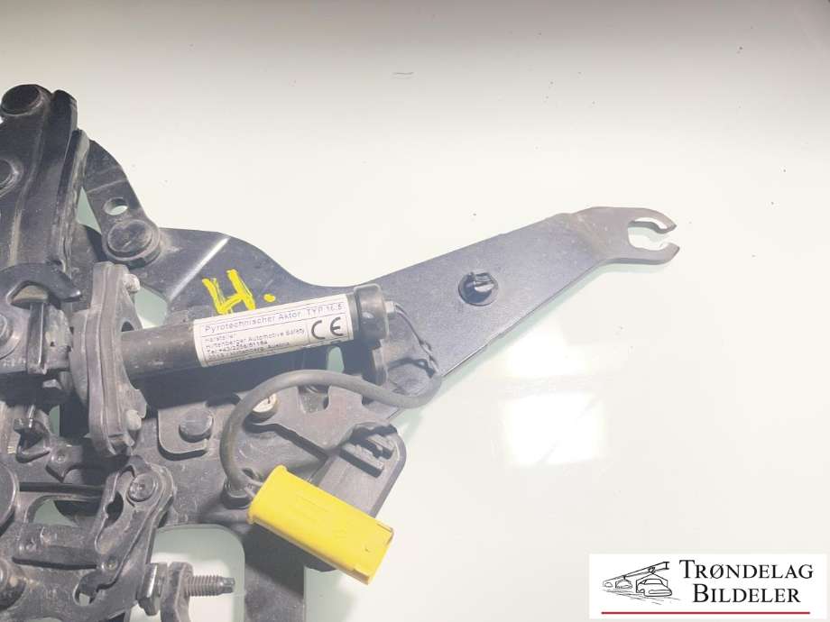 Panserhengsler til BMW X5 2013-2018 (F15) (F15) (41 00 7 381 782|)