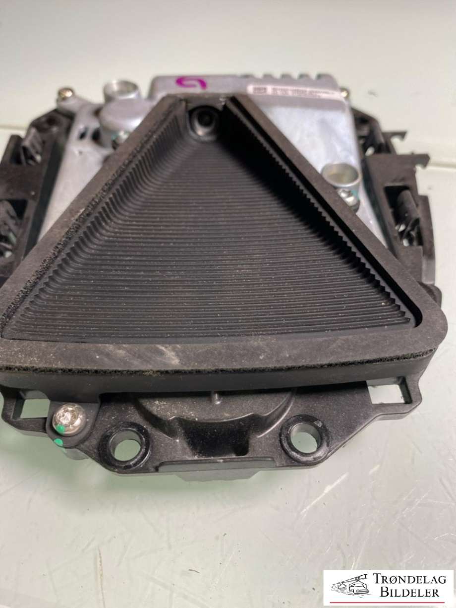 Kamera til Tesla Model S 2016-2021 (Fase 2)  (1038482-99-J|)