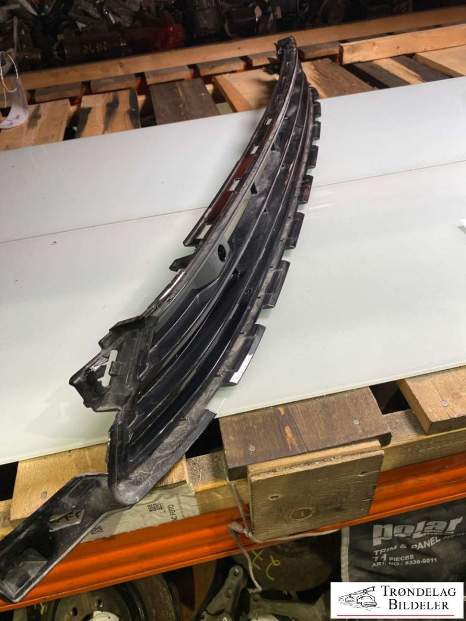 Grill til Polestar 2 2020-->> (31663679|STØTFANGERGRILL|)