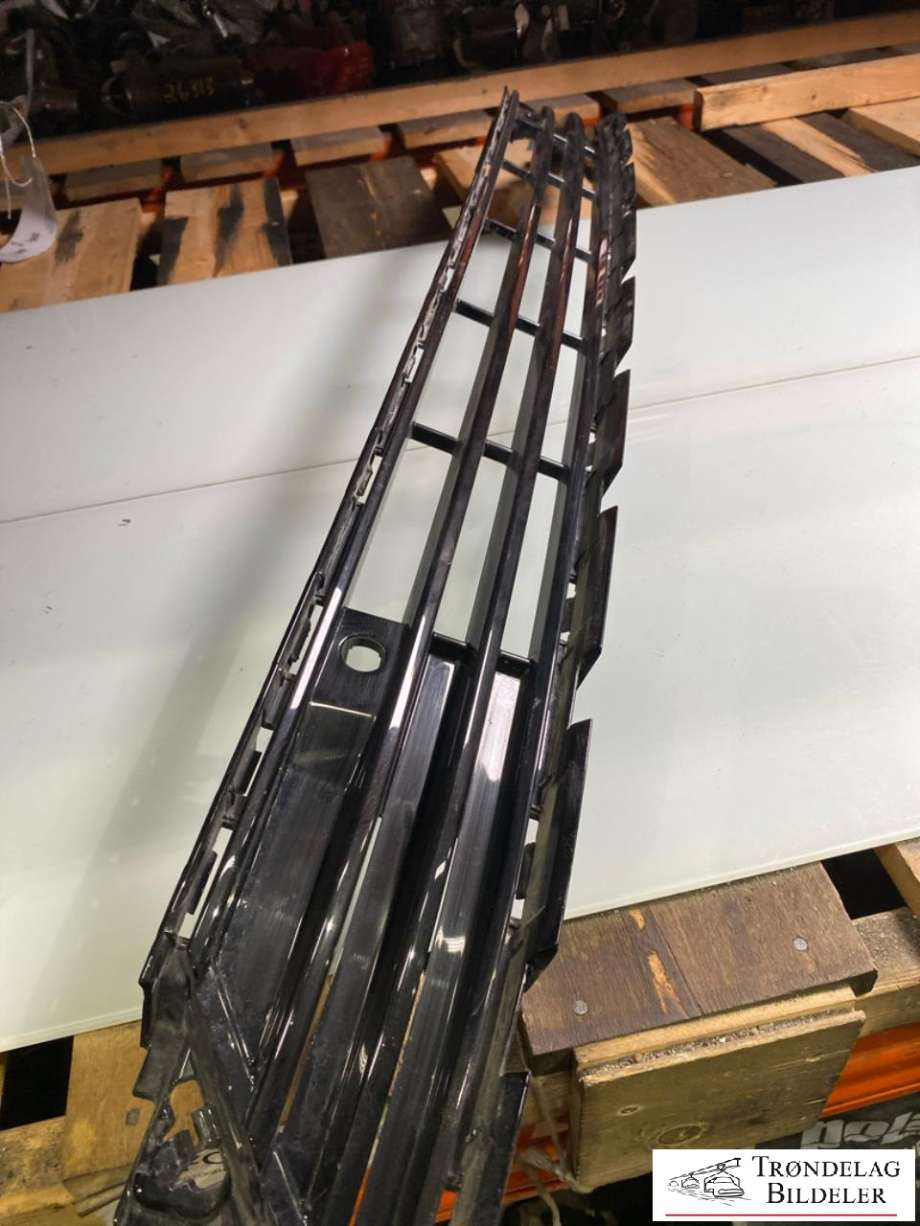 Grill til Polestar 2 2020-->> (31663679|STØTFANGERGRILL|)