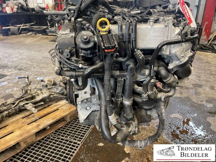 Motor diesel til Škoda Octavia 2017-2020 (Type III, Fase 2)  (04L 100 037 T|04L 100 093 M|04L 100 037 TX)