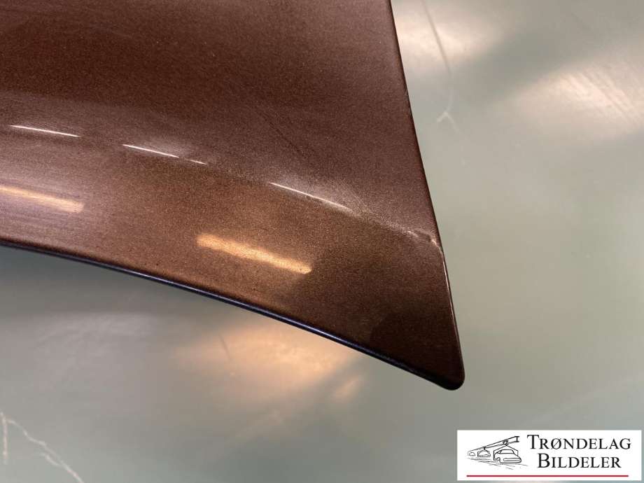 Skjerm venstre foran til VW Transporter / Caravelle 2015-2019 (T6) (T6) (7E0 821 101 A|7E0 821 101 B|)