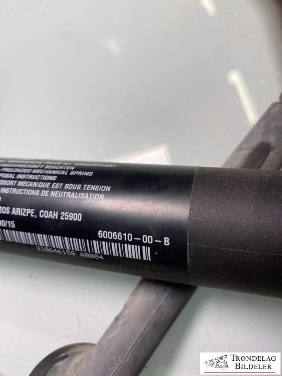 Baklukeåpner motor til Tesla Model S 2013-2016 (Fase 1)  (6006610-00-B|)