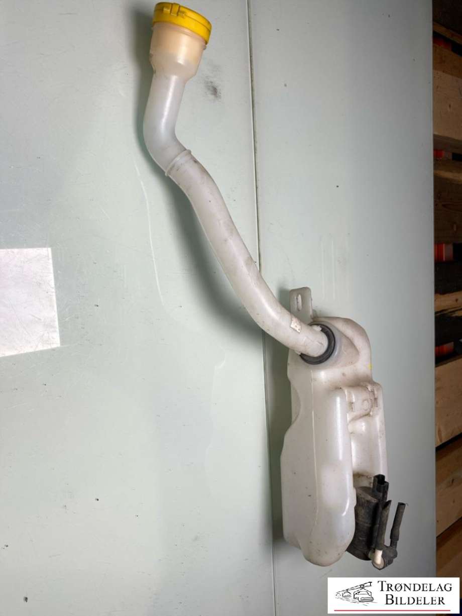 Spylertank foran til Renault Zoe, 2013-2019 (Fase 1) (289103347R)
