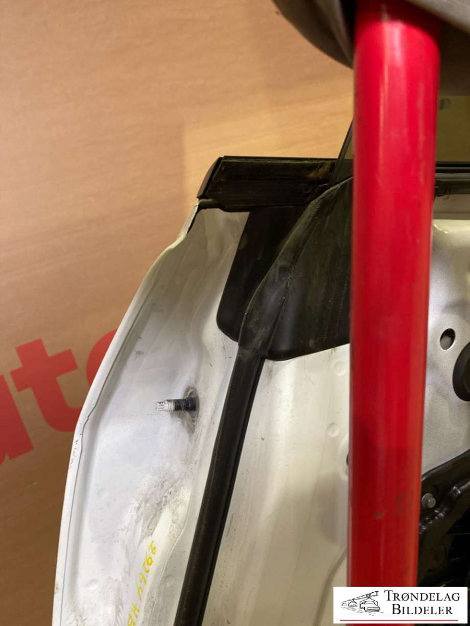 Dør høyre bak til Tesla Model Y 2024-->> (Type II) (1641703-ED-A|)