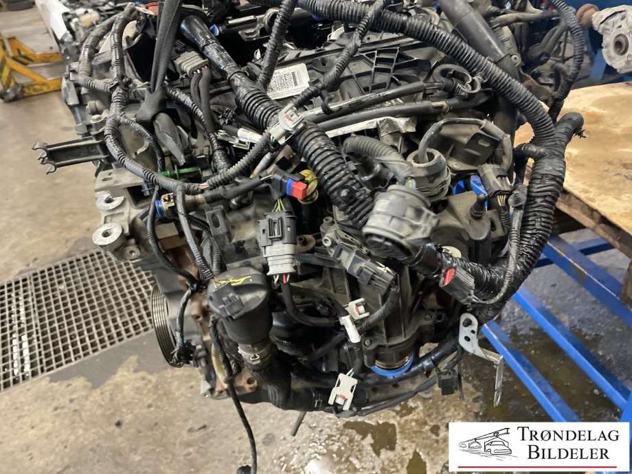Motor diesel til Ford Kuga 2008-2012 (Type I)  (AV4Q-6006-AD|REAV4Q-6006-AD|1854467|2070004|)