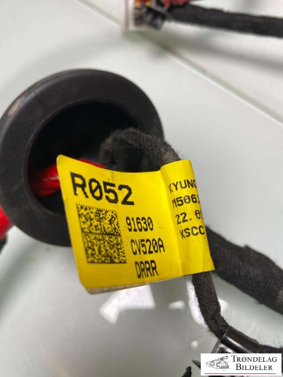 Ledningsnett til Kia EV6 2021-->> (91630CV520|DØR HB|)