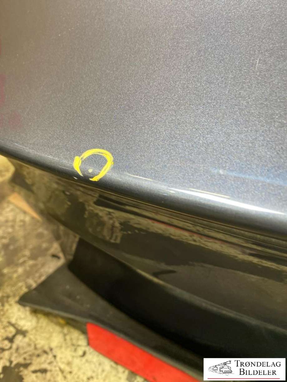 Bakluke til Tesla Model Y 2021-2024 (Type I)  (1493370-EC-B|)