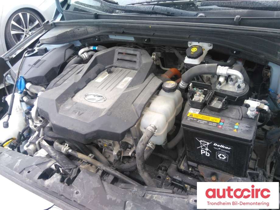 Hyundai Ioniq Electric 2016-2019 (Fase 1) , Motorkode: EM09, Girkassekode: 4450018AA0