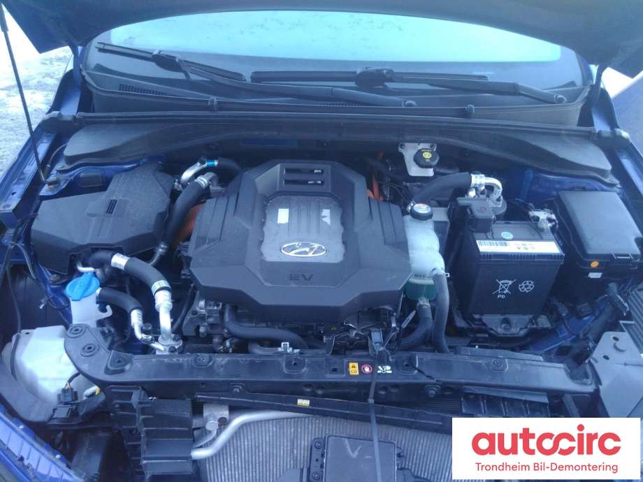 Hyundai Ioniq Electric 2016-2019 (Fase 1) , Motorkode: EM09, Girkassekode: 4450018AA0