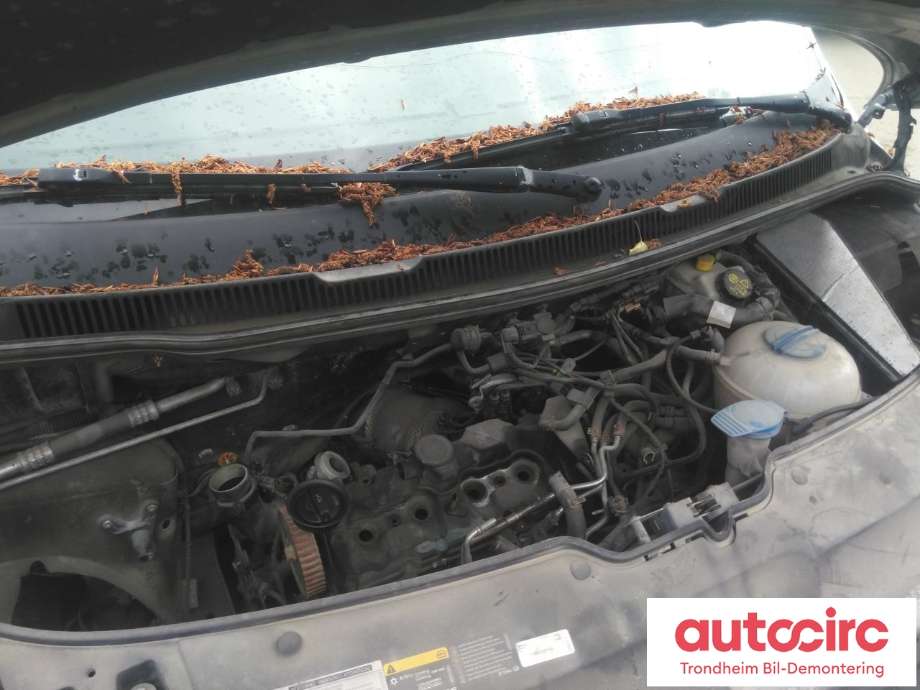 VW Transporter / Caravelle 2015-2019 (T6) (T6), Motorkode: CXFA, Girkassekode: PSS