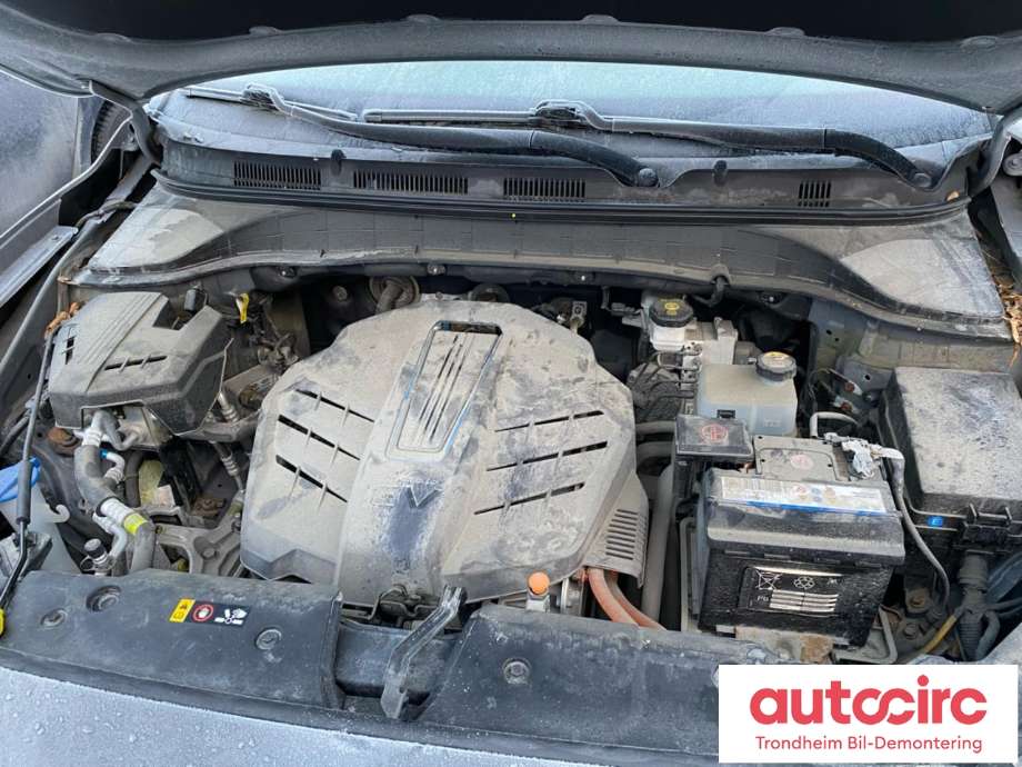Hyundai Kona 2017-2021 (Type I, Fase 1) , Motorkode: EM16, Girkassekode: E181085191