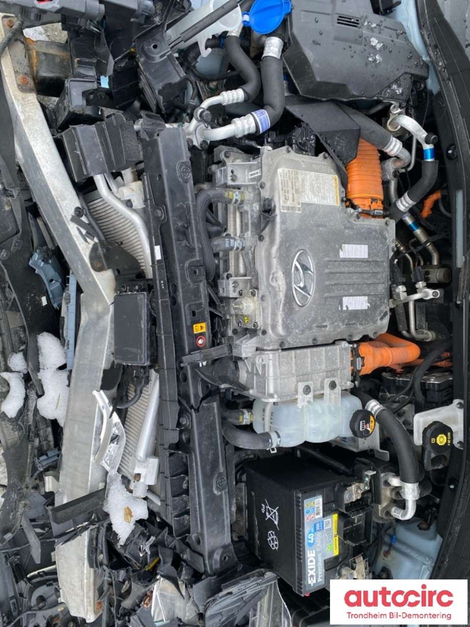 Hyundai Ioniq Electric 2016-2019 (Fase 1) , Motorkode: EM09, Girkassekode: 4450018AA0