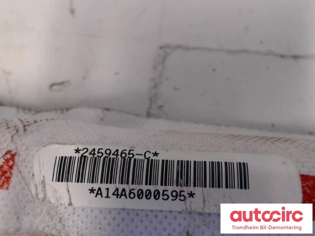 Airbag gardin høyre til Tesla Model S 2013-2016 (Fase 1)  (..|1005262-00-C|)