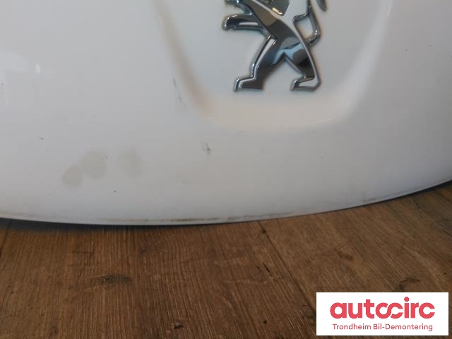 Panser til Peugeot iOn 2011-2020  (..|7901S6|1607866780|)