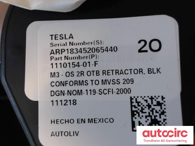 Sikkerhetsbelte bak høyre til Tesla Model 3 2018-2023 (Fase 1)  (1110154-01-F|1110154-01-F|)