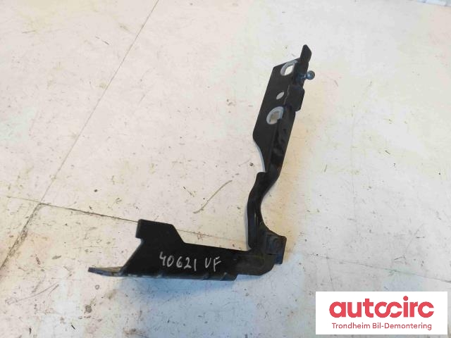 Panserhengsler til Jaguar X-TYPE 2001-2010  (C2S17121|C2S17122|C2S17732| C2S17733)
